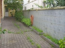 3 Schlafzimmer Villa zu verkaufen im Ponta da Praia, Pesquisar