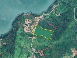  Land for sale in Thalang, Phuket, Pa Khlok, Thalang