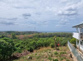  Grundstück zu verkaufen in Ko Lanta, Krabi, Sala Dan, Ko Lanta