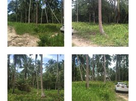  Land for sale in Surat Thani, Lipa Noi, Koh Samui, Surat Thani