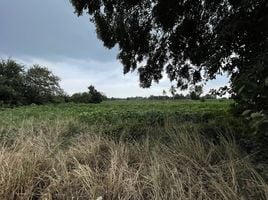  Land for sale in Big Bee Farm (Pattaya), Nong Pla Lai, Pong