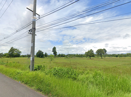  Grundstück zu verkaufen in Loeng Nok Tha, Yasothon, Khok Samran, Loeng Nok Tha, Yasothon