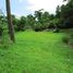  Land for sale in Puntarenas, Osa, Puntarenas