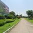  Land for sale at Summit Green Valley , Mae Sa, Mae Rim, Chiang Mai