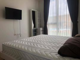 2 Schlafzimmer Appartement zu vermieten im Hasu Haus, Phra Khanong Nuea