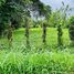  Land for sale in Pococi, Limon, Pococi