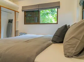 1 Bedroom Condo for rent at PaTAMAAN Cottages, Bo Phut, Koh Samui, Surat Thani