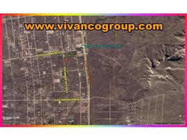  Grundstück zu verkaufen in Biedma, Chubut, Biedma, Chubut, Argentinien