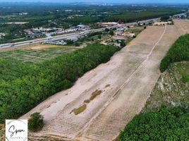  Grundstück zu verkaufen in Nikhom Phatthana, Rayong, Map Kha, Nikhom Phatthana, Rayong