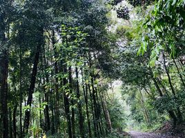  Grundstück zu verkaufen in Pococi, Limon, Pococi, Limon, Costa Rica