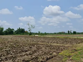  Grundstück zu verkaufen in Mueang Chiang Rai, Chiang Rai, Tha Sut