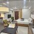 Studio Penthouse zu vermieten im Orchard Boulevard, Tanglin, Orchard, Central Region, Singapur