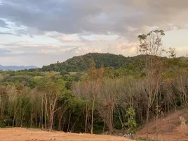  Grundstück zu verkaufen in Thalang, Phuket, Choeng Thale