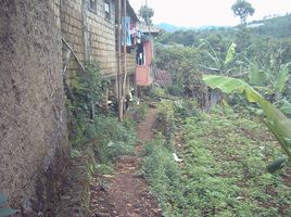  Land for sale in Puncak Gunung Mas Tea Gardens, Cisarua, Cisarua