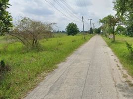  Grundstück zu verkaufen in Doi Saket, Chiang Mai, Samran Rat, Doi Saket