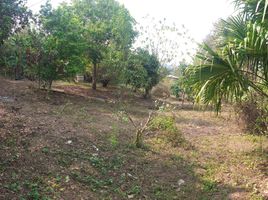  Grundstück zu verkaufen in Samoeng, Chiang Mai, Samoeng Nuea, Samoeng