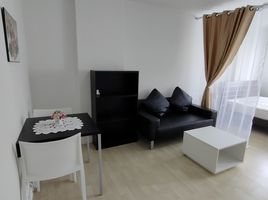 1 Schlafzimmer Wohnung zu verkaufen im D Condo Charan - Bangkhunnon, Bang Khun Non