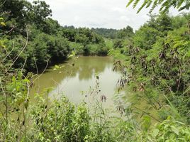  Grundstück zu verkaufen in Khon Buri, Nakhon Ratchasima, Oraphim