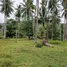  Land for sale in Khanom, Nakhon Si Thammarat, Khanom