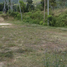  Land for sale in Surat Thani, Maenam, Koh Samui, Surat Thani