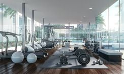 Фото 2 of the Communal Gym at Oasis 1