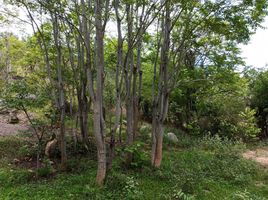  Land for sale in Phetchaburi, Cha-Am, Cha-Am, Phetchaburi