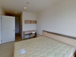 อพาร์ทเม้นท์ 2 ห้องนอน ให้เช่า ในโครงการ แอสปาย สุขุมวิท 48, พระโขนง