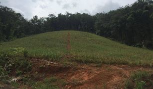 N/A Grundstück zu verkaufen in Pa Khlok, Phuket 