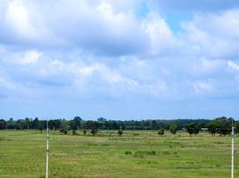 在Kabin Buri, 巴真武里出售的 土地, Nong Ki, Kabin Buri