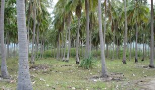 N/A Land for sale in Sala Dan, Krabi 