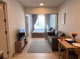 1 Schlafzimmer Wohnung zu vermieten im Plum Condo Sukhumvit 62, Bang Chak