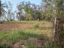  Land for sale in Kram, Klaeng, Kram