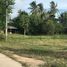 ขายที่ดิน ใน เขากระปุก, เพชรบุรี, เขากระปุก, ท่ายาง