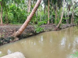  Grundstück zu verkaufen in Mueang Samut Songkhram, Samut Songkhram, Bang Khan Taek, Mueang Samut Songkhram, Samut Songkhram