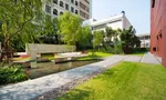 Communal Garden Area at Wyne Sukhumvit