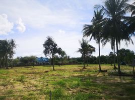  Land for sale in Phuket, Mai Khao, Thalang, Phuket