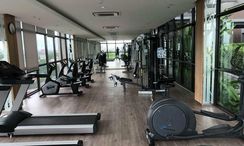 Photo 3 of the Communal Gym at Rich Park at Triple Station