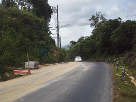  Grundstück zu verkaufen in Thalang, Phuket, Sakhu