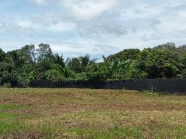  Land for sale in Phang Tru, Tha Muang, Phang Tru