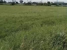  Grundstück zu verkaufen in Bang Pa-In, Phra Nakhon Si Ayutthaya, Chiang Rak Noi