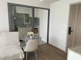 คอนโด 1 ห้องนอน ให้เช่า ในโครงการ ฟีล ภูเก็ต บาย เซนทรัล พัฒนา, วิชิต