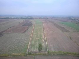  Land for sale in Tha Luang, Phimai, Tha Luang