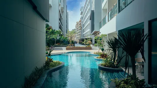 写真 1 of the Communal Pool at VIP Kata Condominium 2