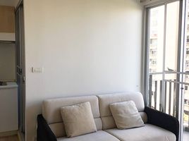 1 Bedroom Condo for rent at The Parkland Srinakarin Lakeside, Samrong Nuea, Mueang Samut Prakan, Samut Prakan