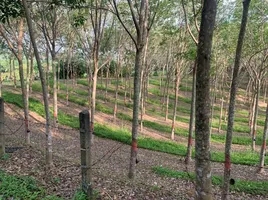  Land for sale in Choeng Thale, Thalang, Choeng Thale