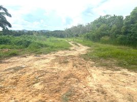  Земельный участок for sale in Тхаланг Пхукет, Pa Khlok