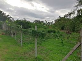  Grundstück zu verkaufen in Nong Ya Plong, Phetchaburi, Tha Takhro, Nong Ya Plong, Phetchaburi