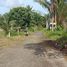  Land for sale in Thai Mueang, Phangnga, Thai Mueang, Thai Mueang