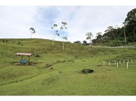  Land for sale in Cartago, Turrialba, Cartago