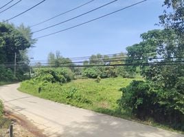  Land for sale in Choeng Thale, Thalang, Choeng Thale